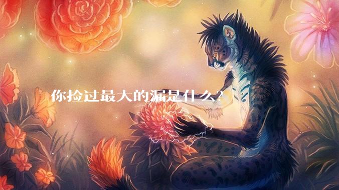你捡过最大的漏是什么？